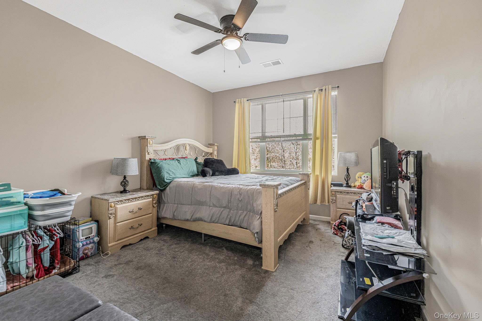 19 Magnolia Park Road Middletown, NY 10940 - Photo 13 of 23