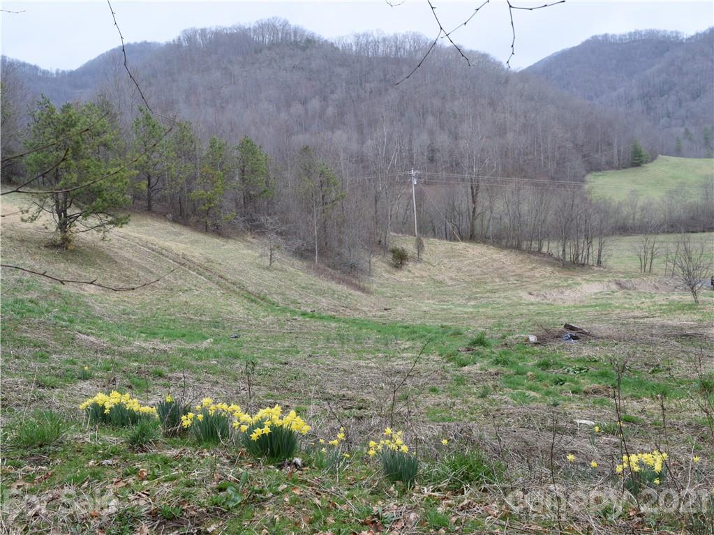 3007 Max Patch Road Clyde, NC 28721 - Photo 1 of 12 a backyard of a house with lots of green space