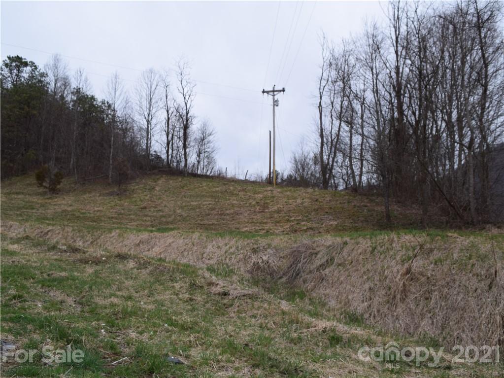 3007 Max Patch Road Clyde, NC 28721 - Photo 3 of 12 a view of a city view