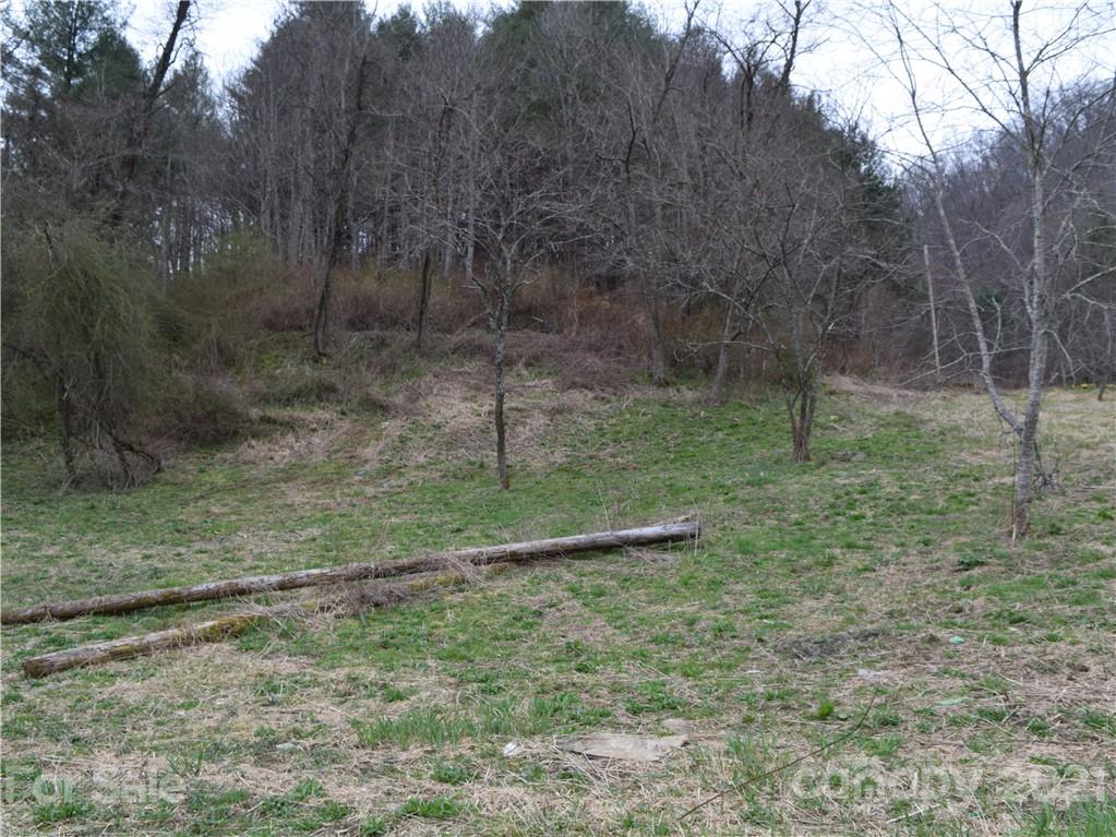 3007 Max Patch Road Clyde, NC 28721 - Photo 4 of 12 a backyard of a house with lots of green space