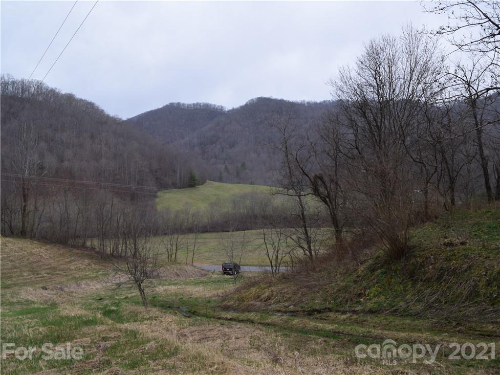3007 Max Patch Road Clyde, NC 28721 - Photo 6 of 12 a view of a back yard
