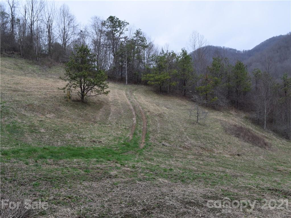 3007 Max Patch Road Clyde, NC 28721 - Photo 7 of 12 a view of a forest with a mountain