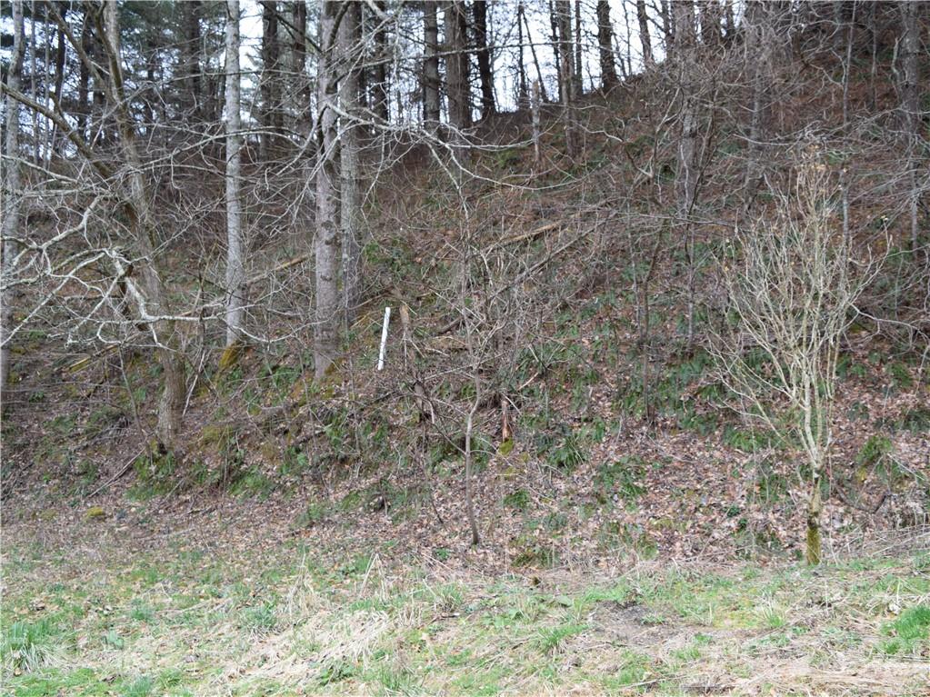3007 Max Patch Road Clyde, NC 28721 - Photo 9 of 12 a backyard of a house with lots of green space and shower