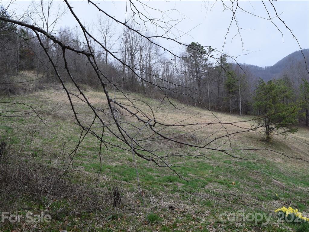 3007 Max Patch Road Clyde, NC 28721 - Photo 10 of 12 a backyard of a house with lots of green space