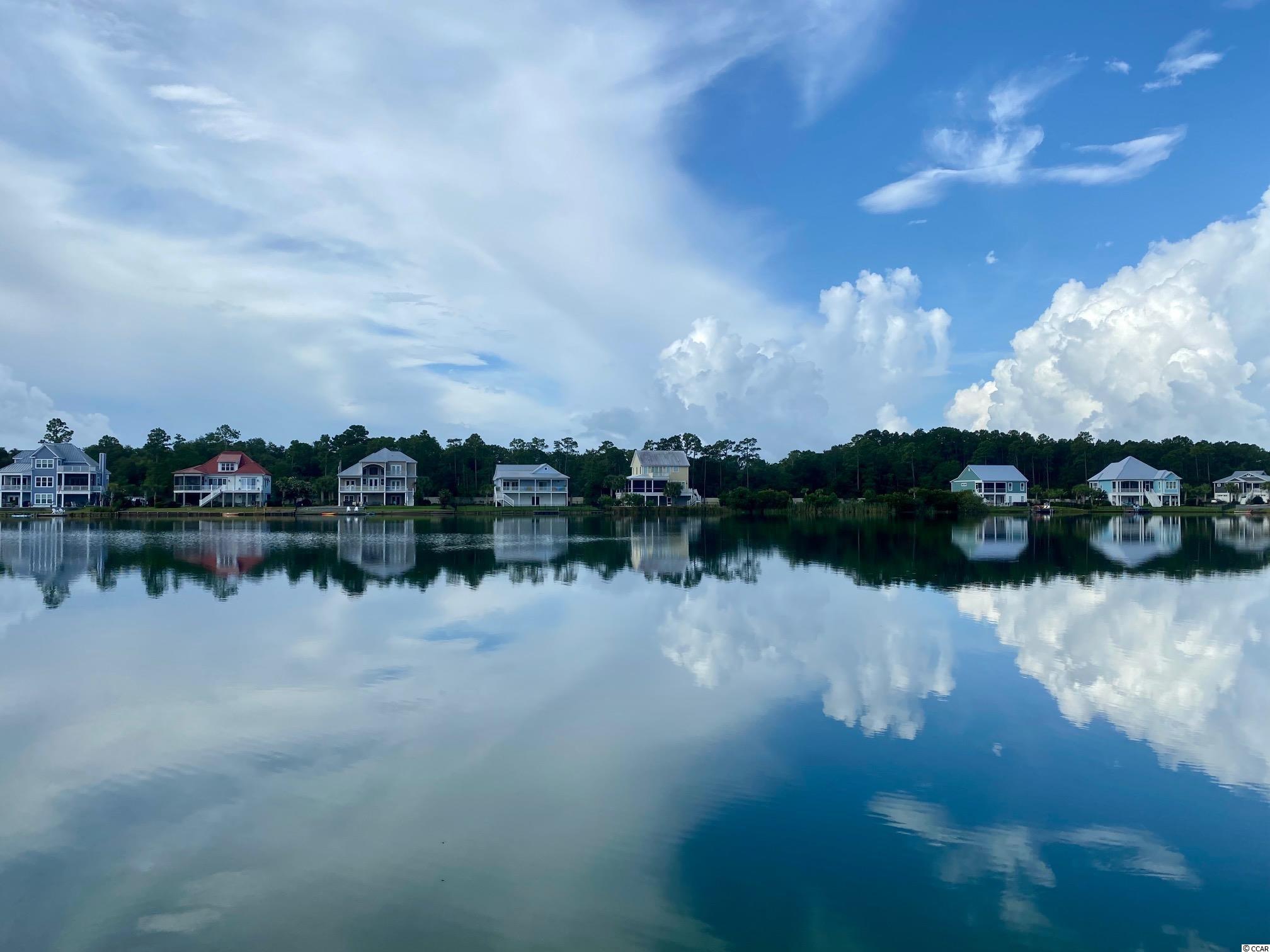Tbd Deep Lake Drive Murrells Inlet, SC 29576 - Photo 5 of 5