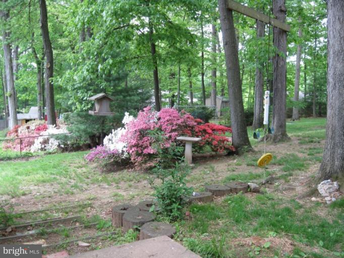 4116 Roberts Road Fairfax, VA 22030 - Photo 7 of 17 Exterior (General)