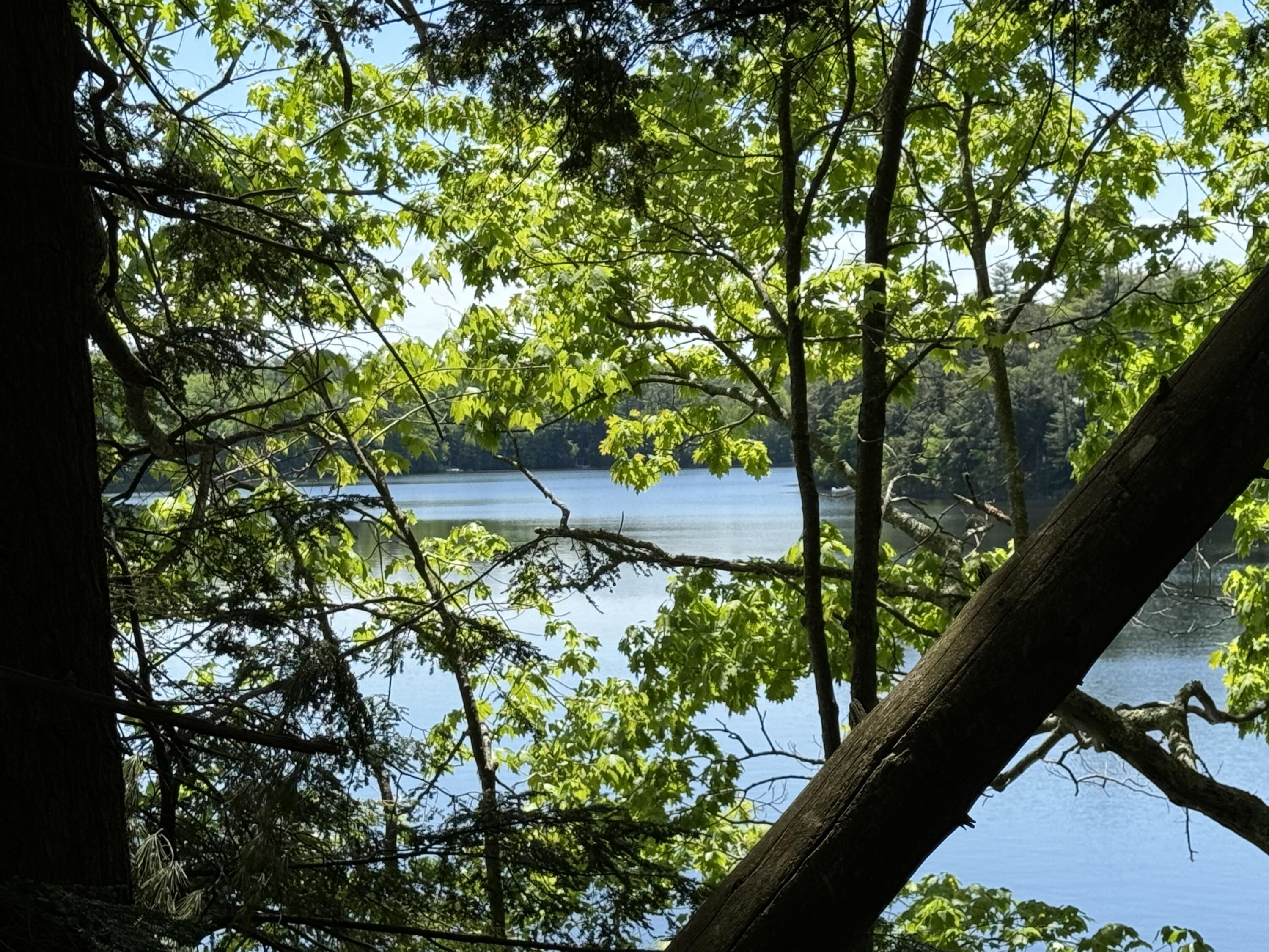 Lot 4 Sabbathday Road New Gloucester, ME 04260 - Photo 29 of 33 IMG_1927