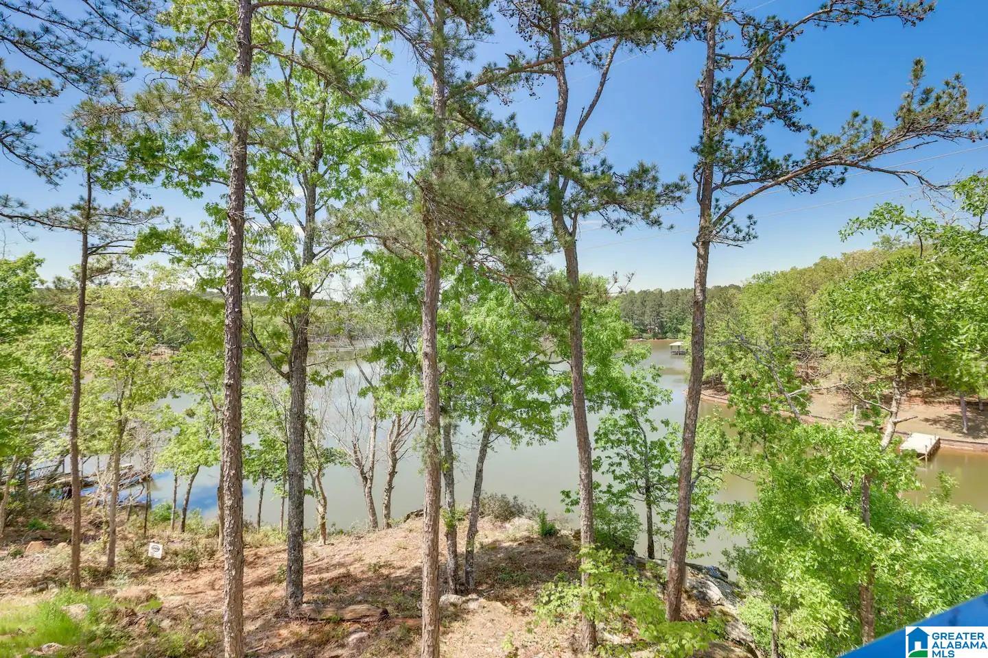 421 Point View Roanoke, AL 36274 - Photo 43 of 45
