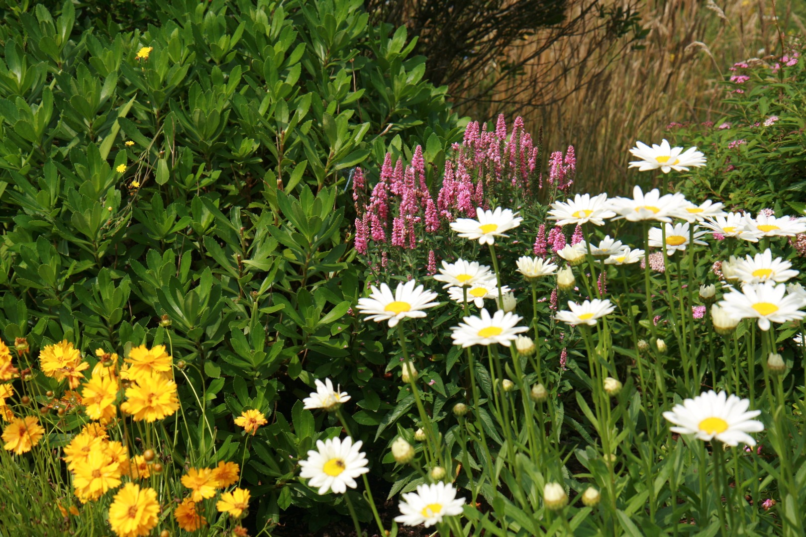 189 Hummock Pond Road Nantucket, MA 02554 - Photo 39 of 42 Gallery Image 39