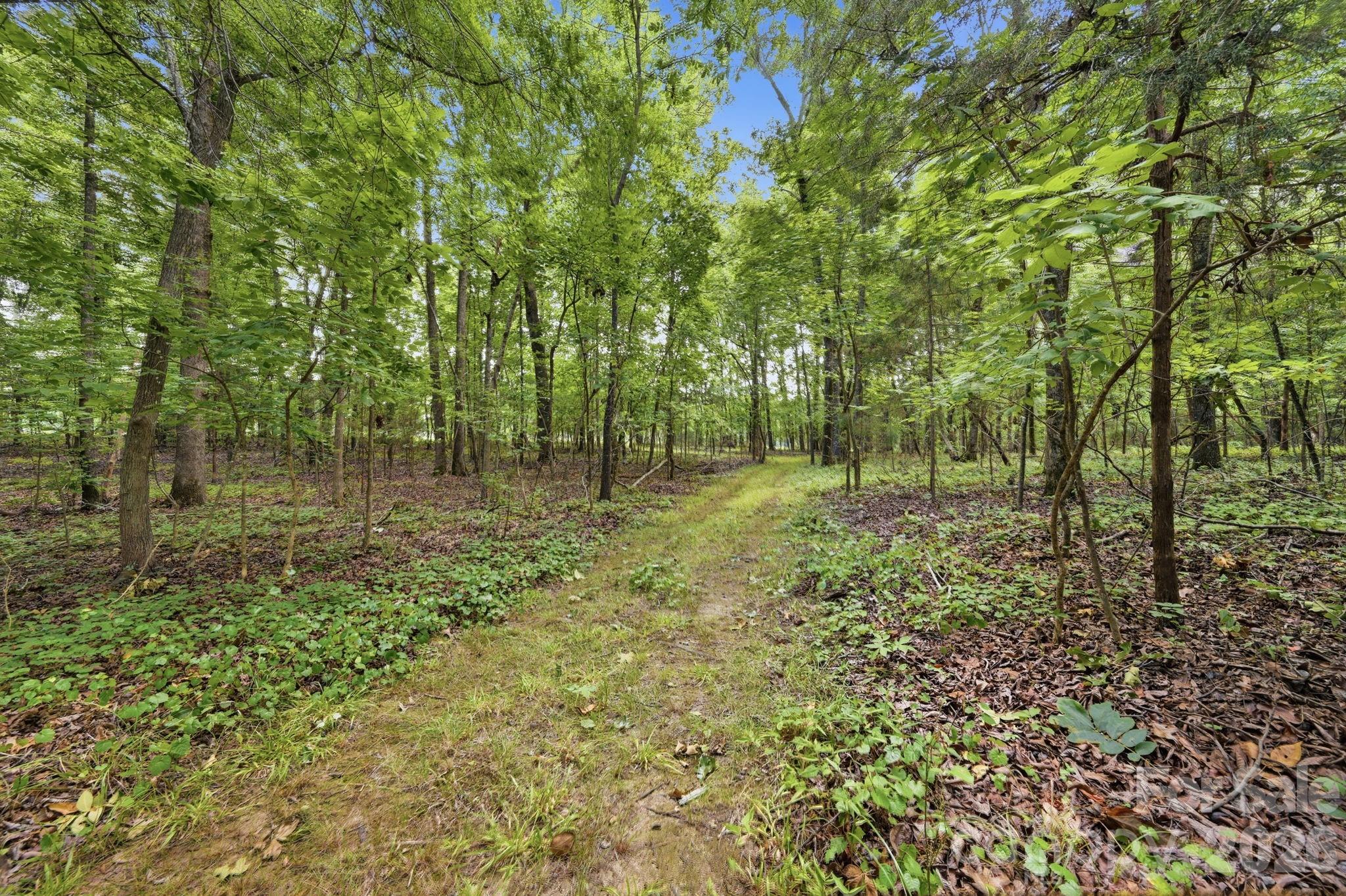 2545 North Rocky River Road Lancaster, SC 29720 - Photo 46 of 48