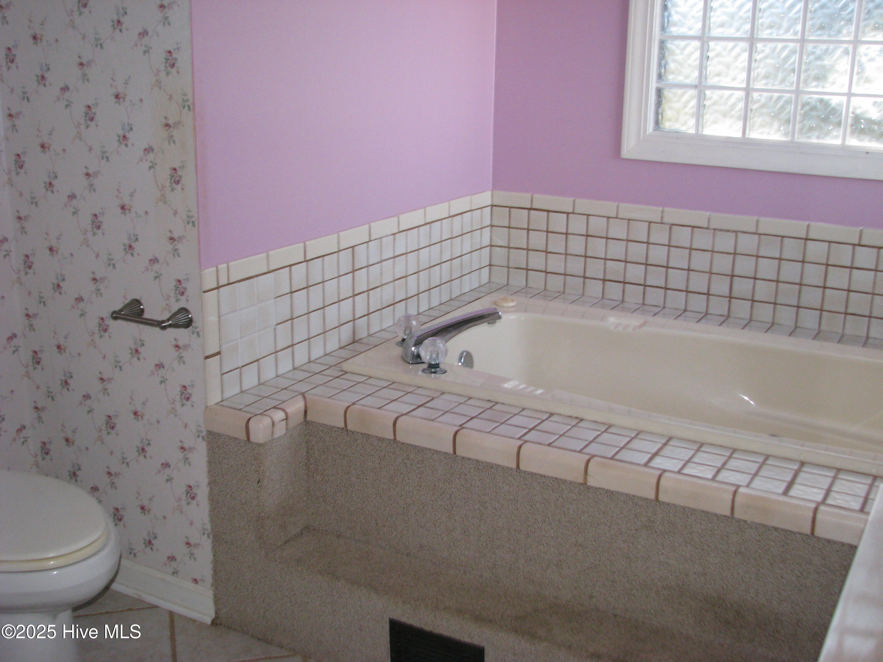 227 Rhodes Drive Columbia, NC 27925 - Photo 21 of 24 Jetted tub in primary BA