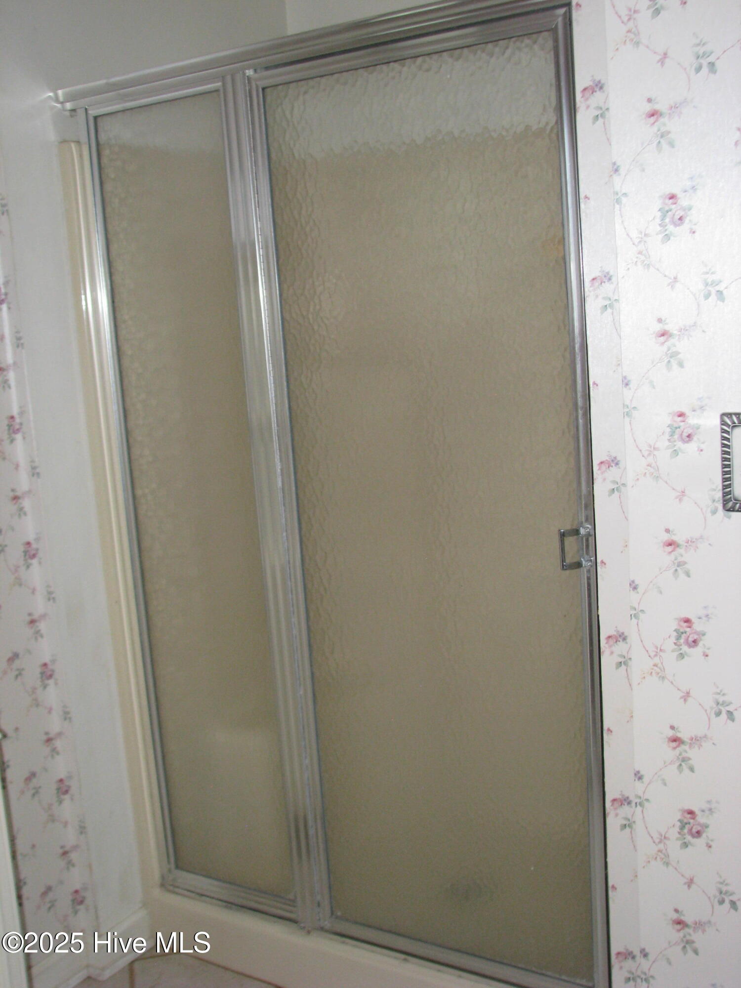 227 Rhodes Drive Columbia, NC 27925 - Photo 22 of 24 Primary BA walk-in shower