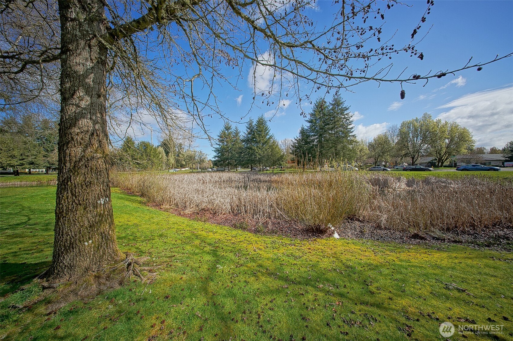 6001 Merlot Lane Southeast Lacey, WA 98513 - Photo 38 of 40 a backyard of a house with lots of green space and lake view