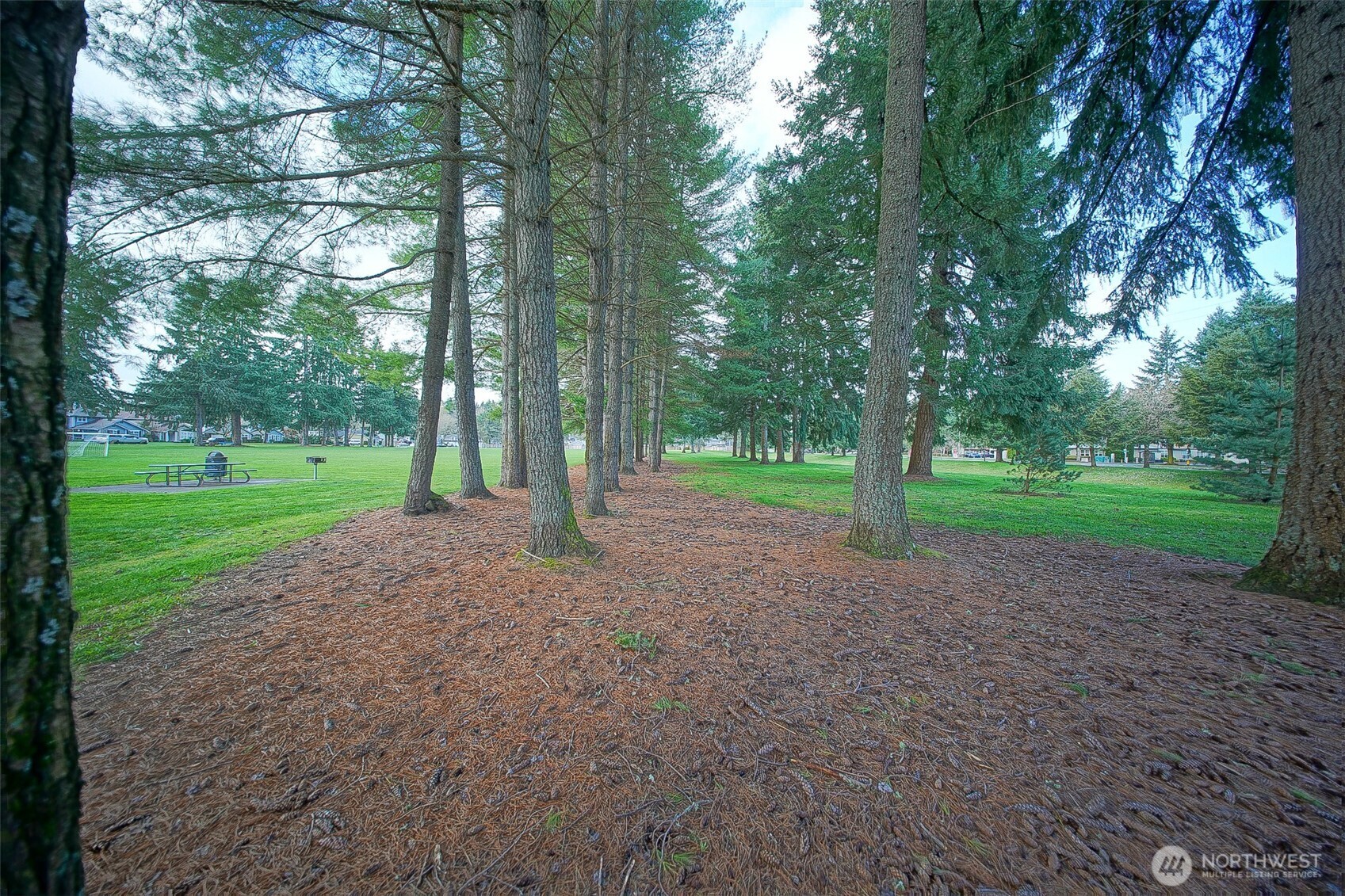 6001 Merlot Lane Southeast Lacey, WA 98513 - Photo 40 of 40 a view of a park