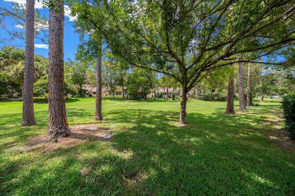8720 Southwest 90th Street, Unit A Ocala, FL 34481 - Photo 41 of 71 a view of a park with a tree
