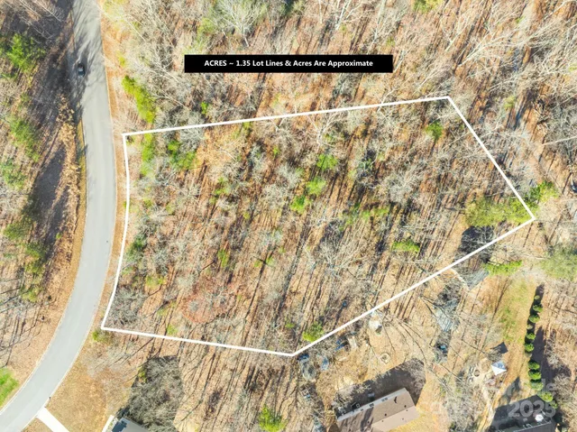 a view of a back yard