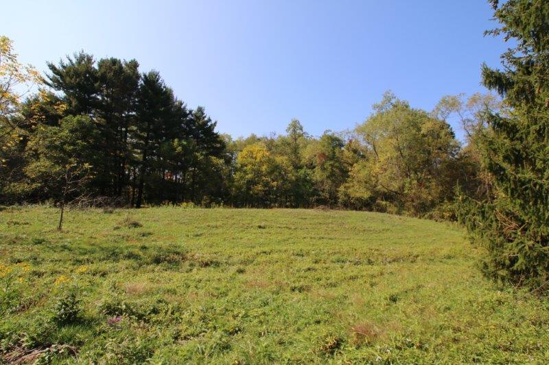 0 South Galena Road Galena, OH 43021 - Photo 2 of 7