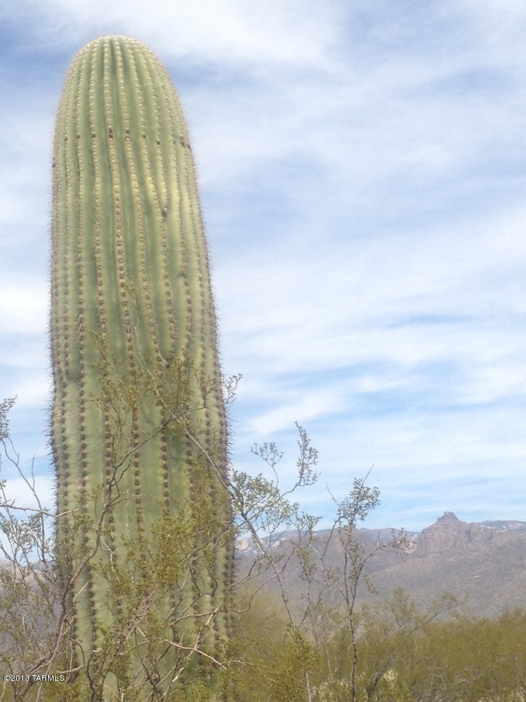 10101 East Kleindale Road, Unit APPROX Tucson, AZ 85749 - Photo 7 of 8