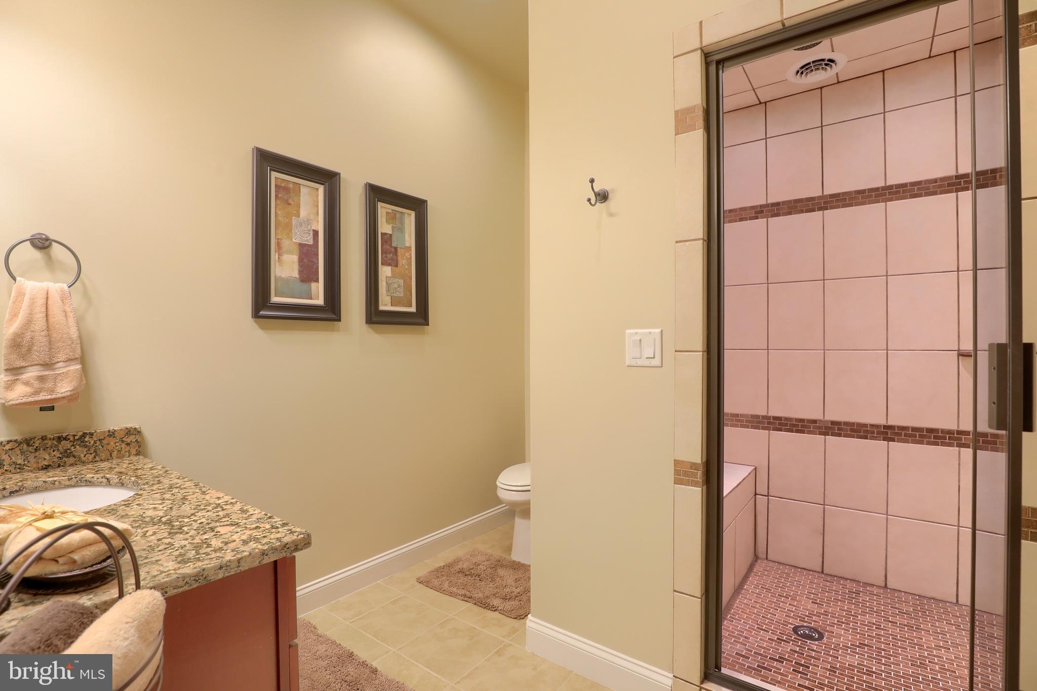 471 Hill Road Denver, PA 17517 - Photo 105 of 130 Basement Bath