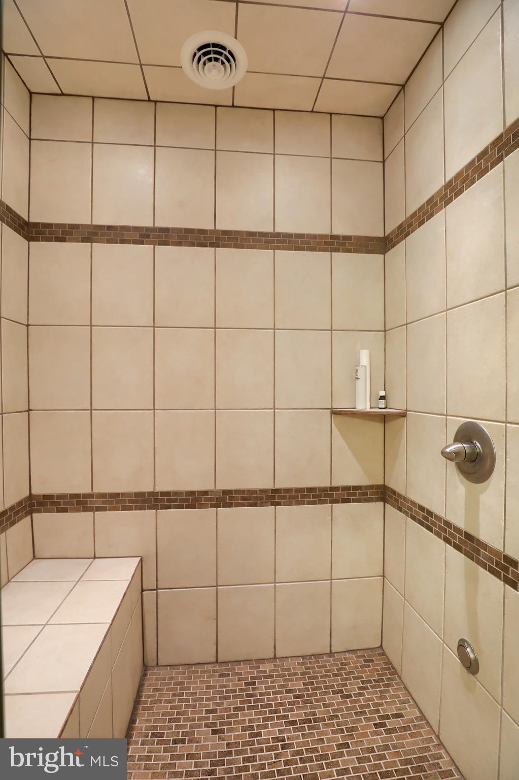 471 Hill Road Denver, PA 17517 - Photo 107 of 130 Steam Room