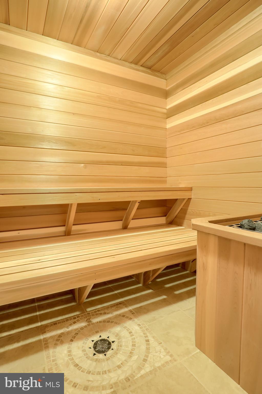 471 Hill Road Denver, PA 17517 - Photo 110 of 130 Sauna Room
