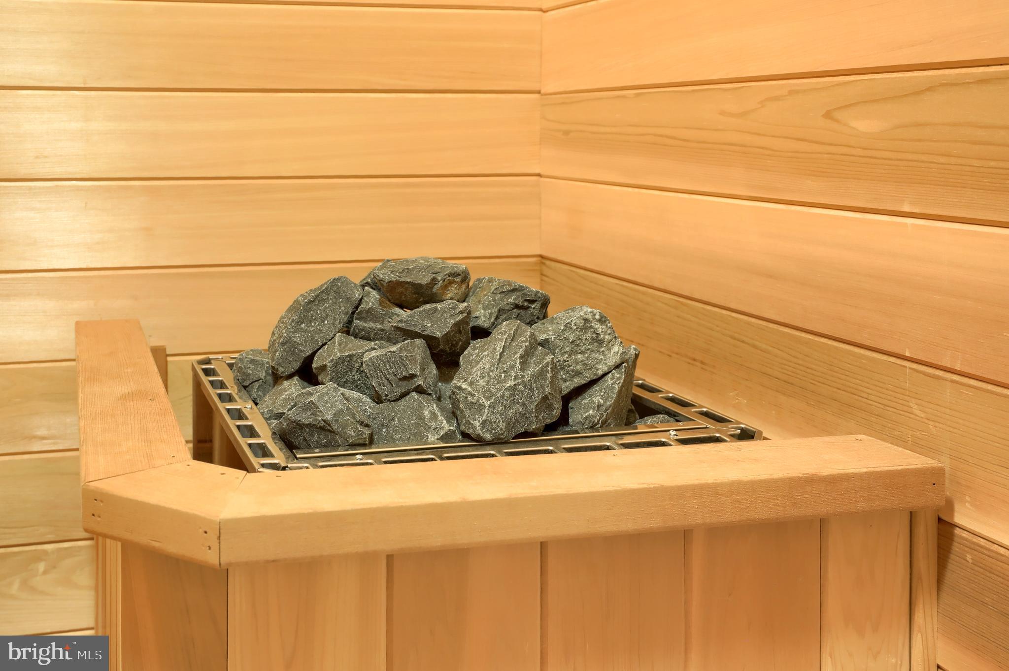 471 Hill Road Denver, PA 17517 - Photo 111 of 130 Sauna