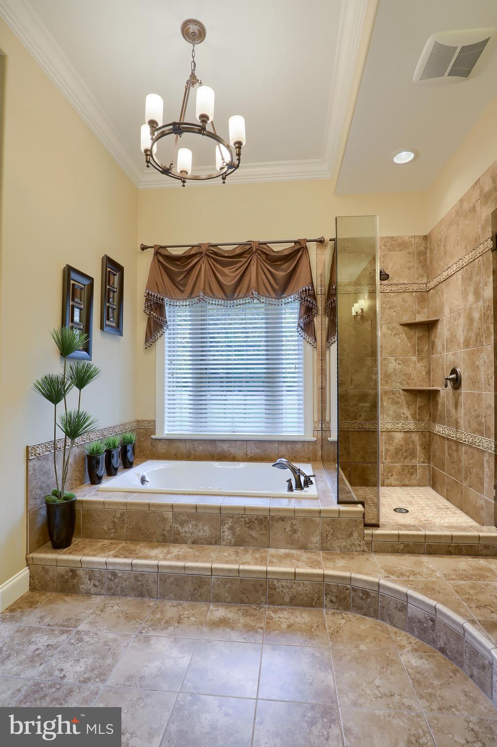 471 Hill Road Denver, PA 17517 - Photo 83 of 130 Master Bath