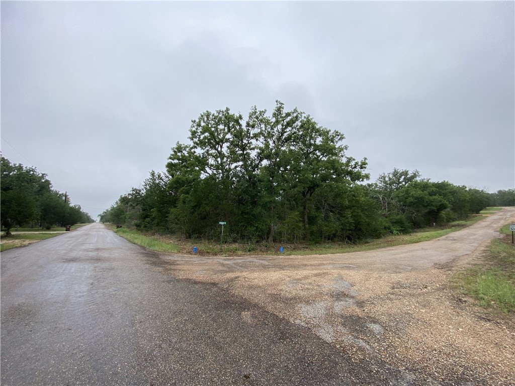 887 Big Berry Road Somerville, TX 77879 - Photo 1 of 10 a view of a field with trees in background