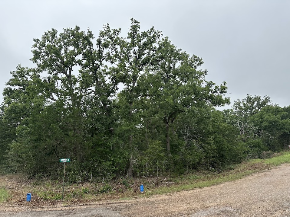 887 Big Berry Road Somerville, TX 77879 - Photo 2 of 10 a backyard of a house with lots of trees