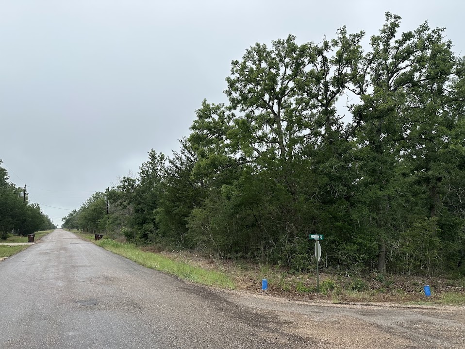 887 Big Berry Road Somerville, TX 77879 - Photo 3 of 10