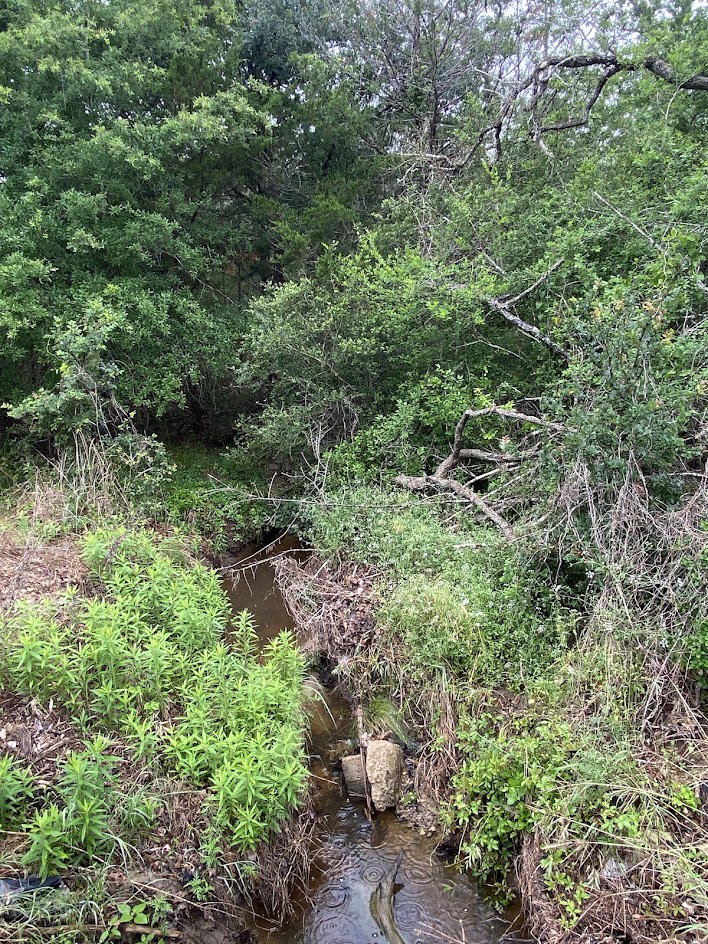 887 Big Berry Road Somerville, TX 77879 - Photo 5 of 10 a view of a garden with a tree