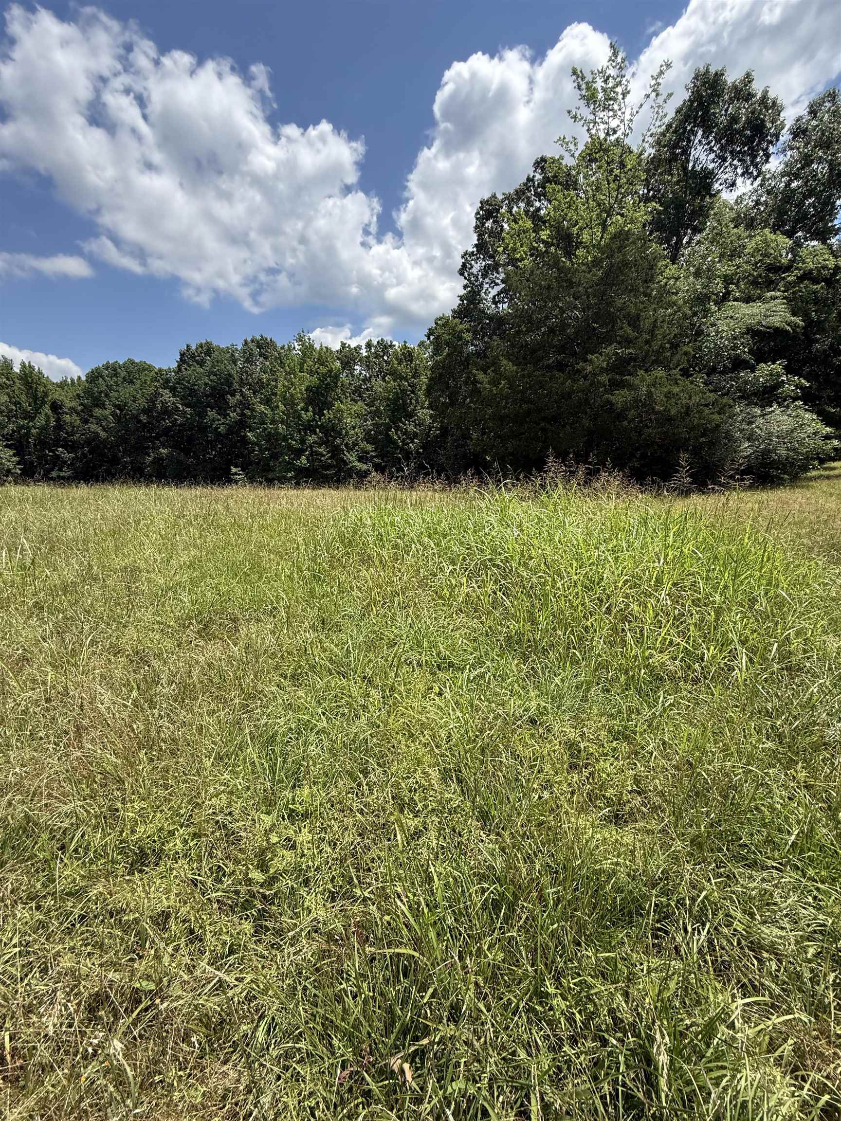 Old Ferry Road Bath Springs, TN 38311 - Photo 5 of 8