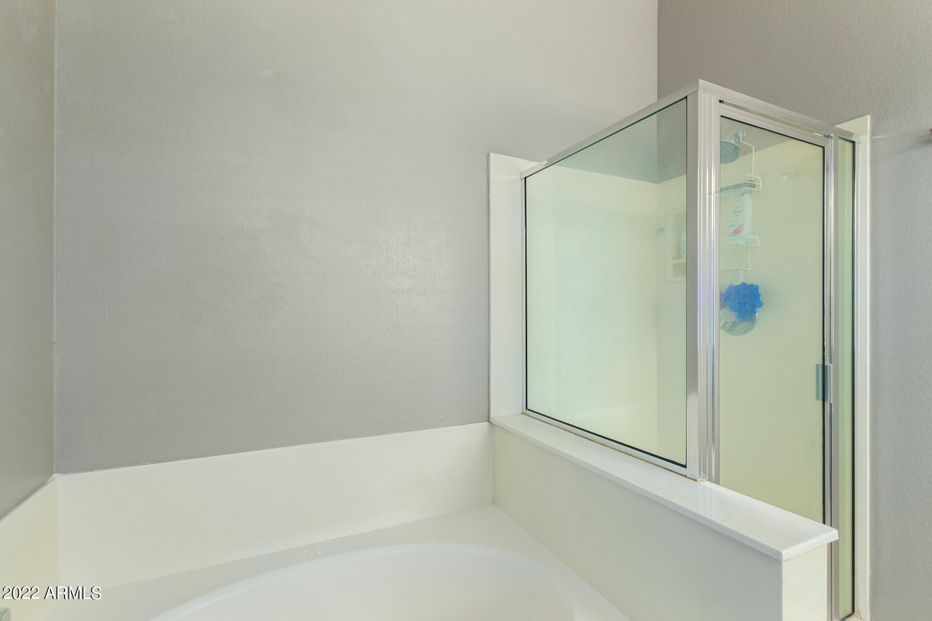 3958 East Agave Road Phoenix, AZ 85044 - Photo 17 of 32 Owners Suite Bathroom