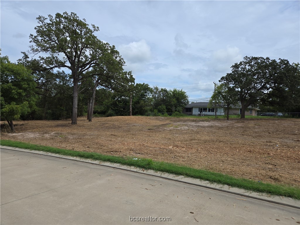 Tbd Brook Lane Bryan, TX 77802 - Photo 9 of 10 Large oak trees in the back of the property