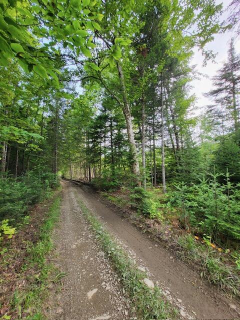 Lot 7 Brown Road Oakfield, ME 04763 - Photo 18 of 21 Resized_20240730_164941_1726579456813