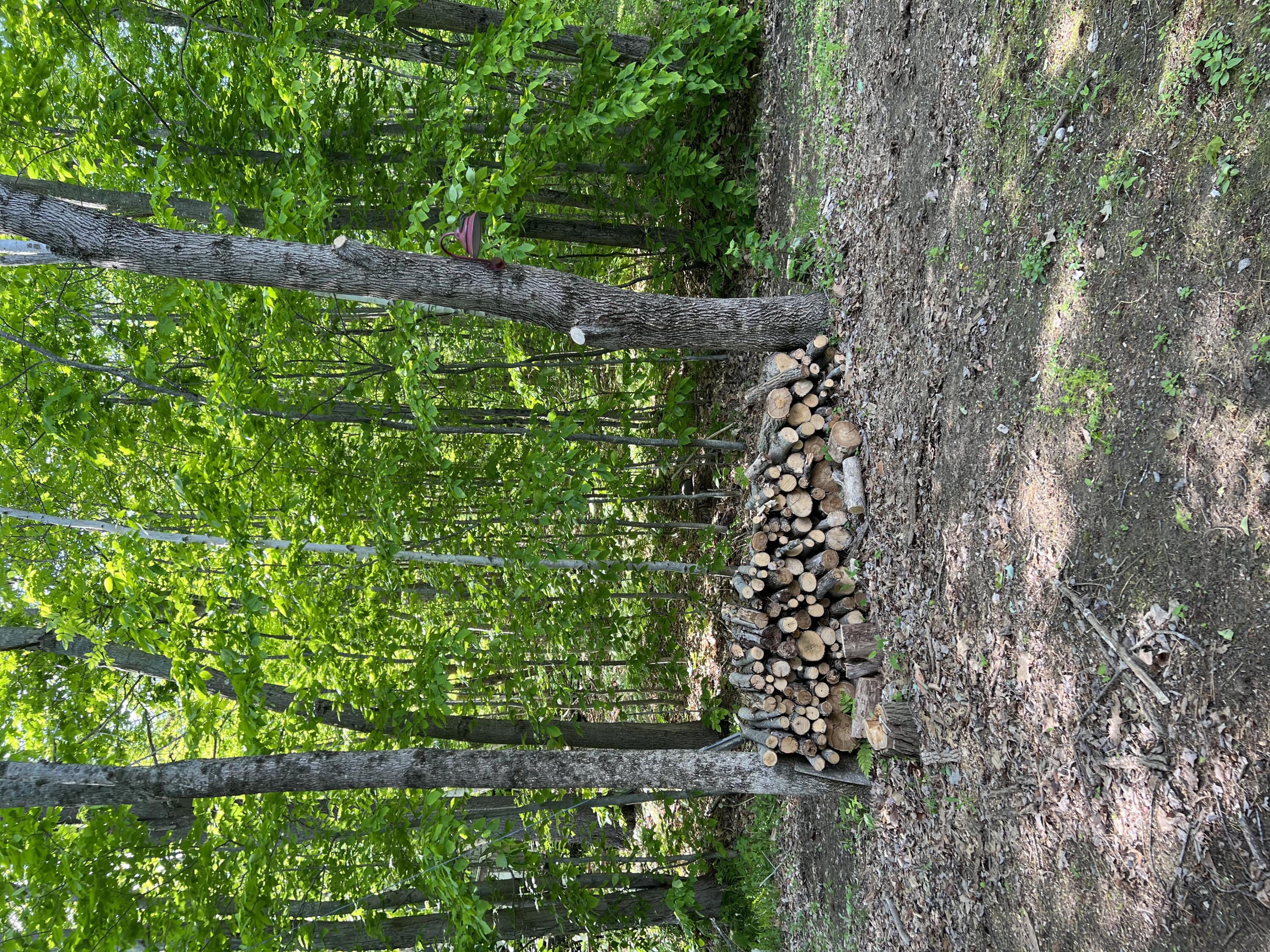 384 Greenwoods Road Peru, ME 04290 - Photo 45 of 45 9F61BC09-C6F4-491B-88F8-48E20C4260AF