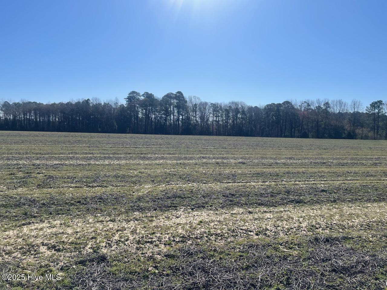 5635 McKendree Church Road Tarboro, NC 27886 - Photo 19 of 80 IMG954136 (2)