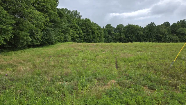 a view of a green field with wooden fence