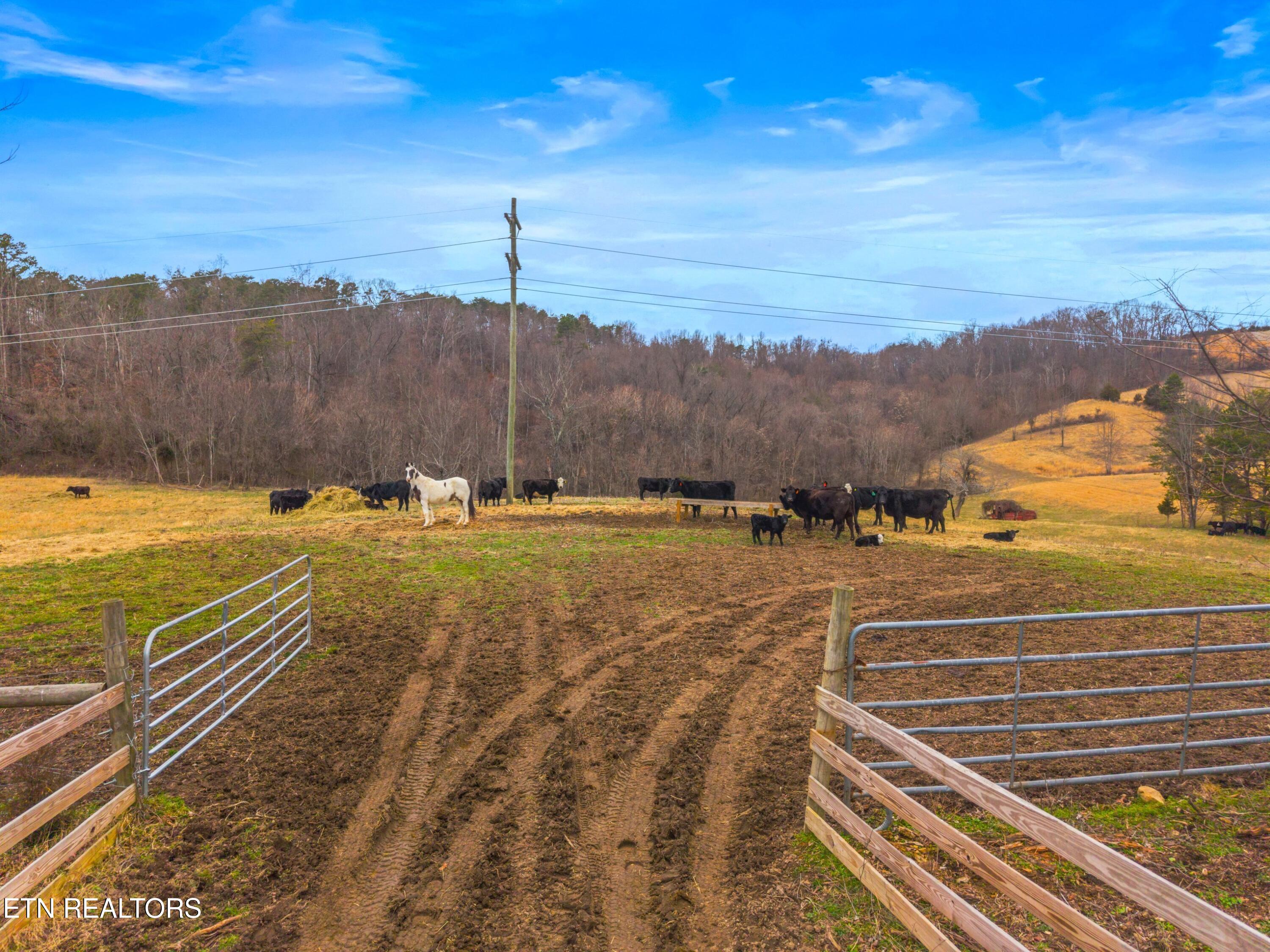 Tbd Grassy Valley Road Whitesburg, TN 37891 - Photo 14 of 20 041-612GrassyValleyRoad-Whitesburg-TN-37