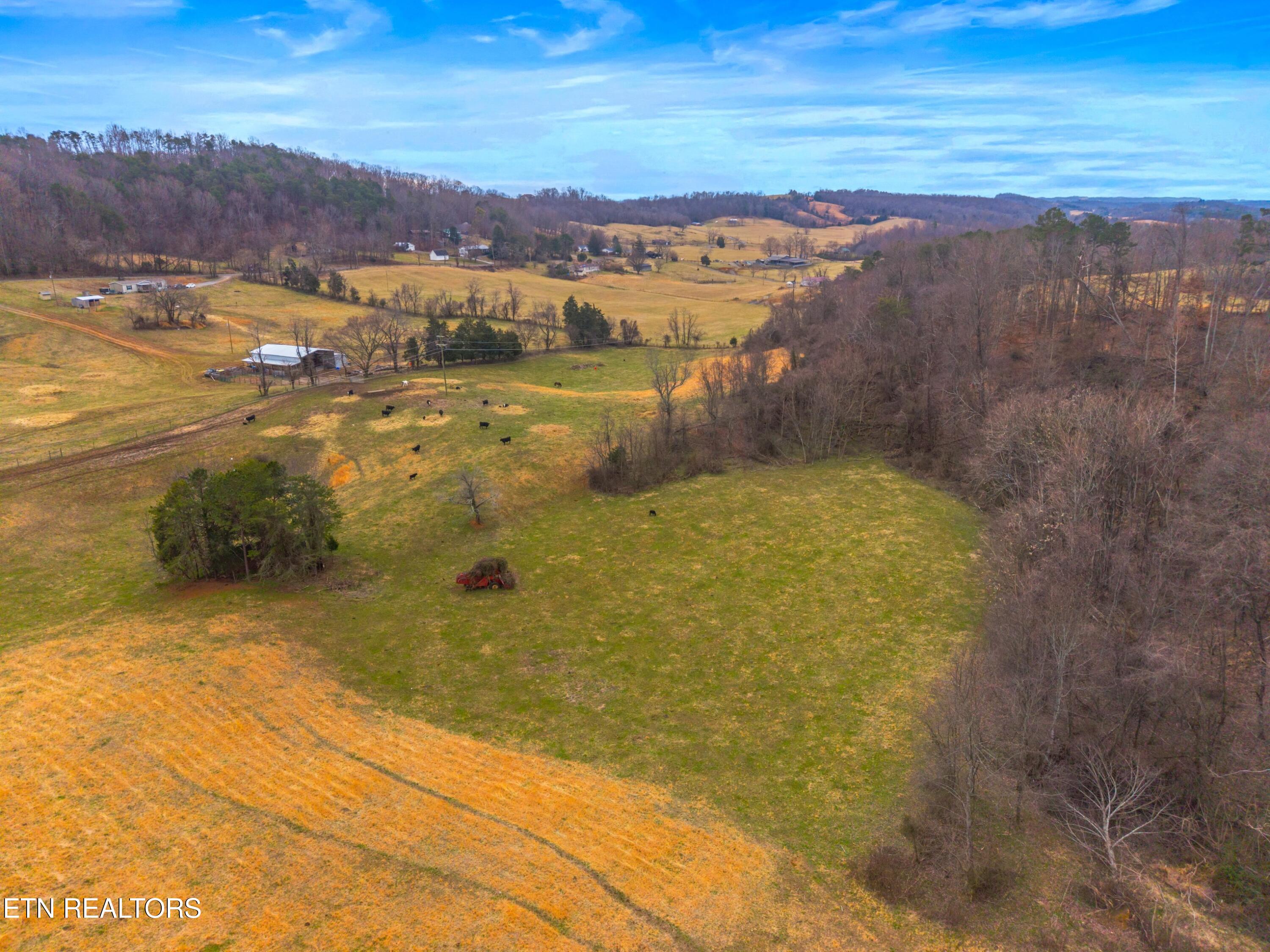 Tbd Grassy Valley Road Whitesburg, TN 37891 - Photo 18 of 20 045-612GrassyValleyRoad-Whitesburg-TN-37