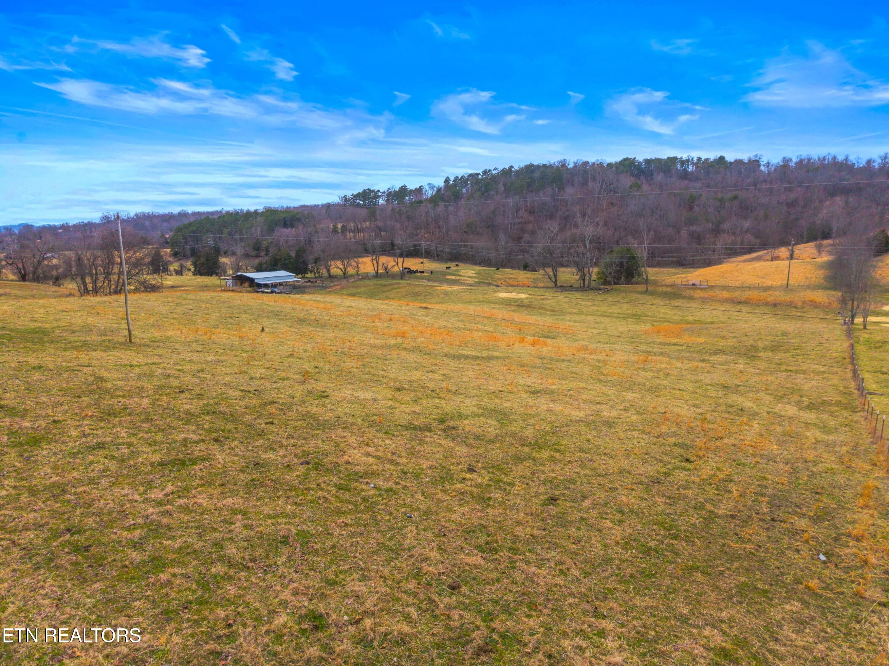 Tbd Grassy Valley Road Whitesburg, TN 37891 - Photo 8 of 20 034-612GrassyValleyRoad-Whitesburg-TN-37