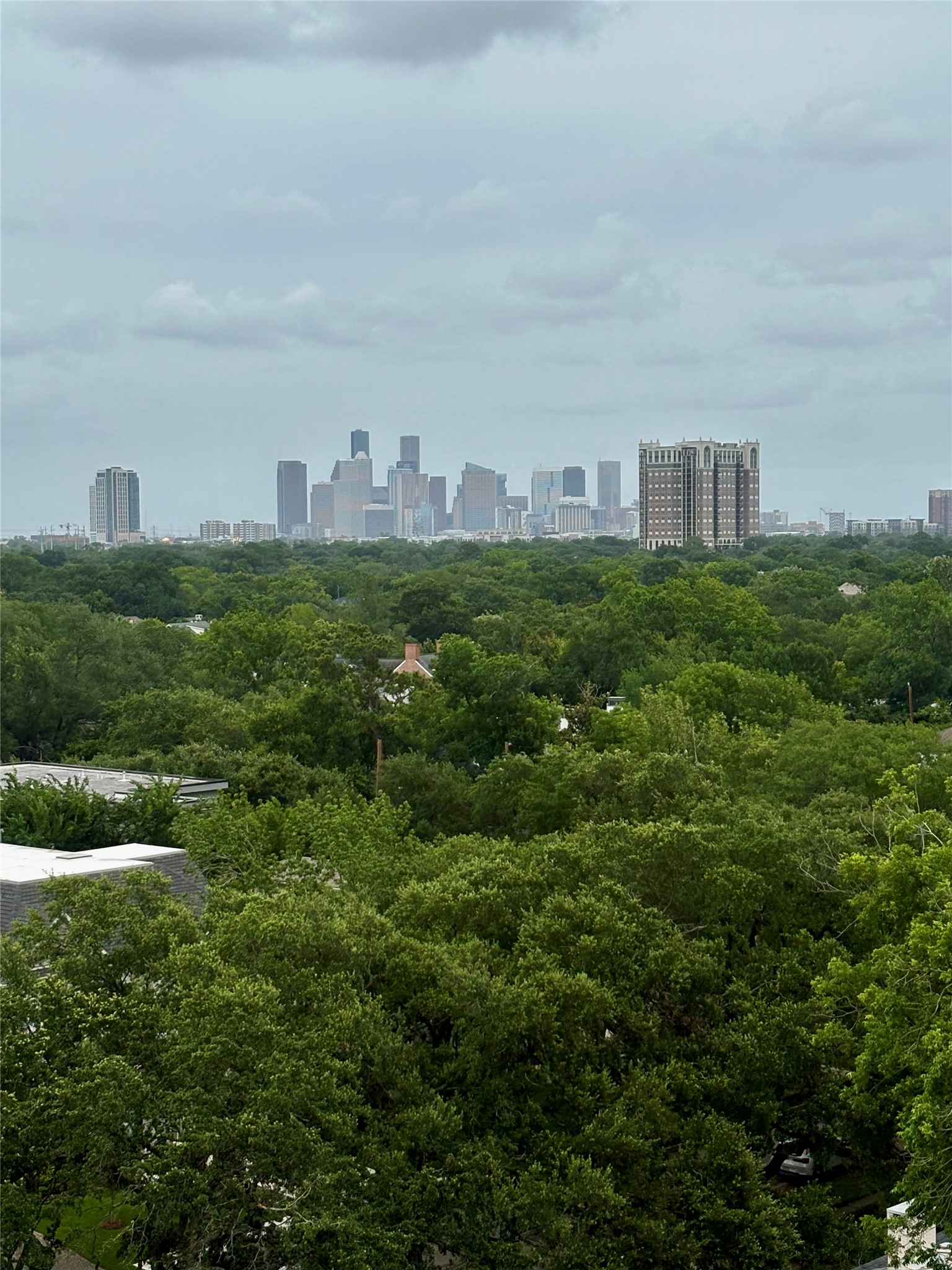 2360 Rice Boulevard, Unit 1103 Houston, TX 77005 - Photo 5 of 11