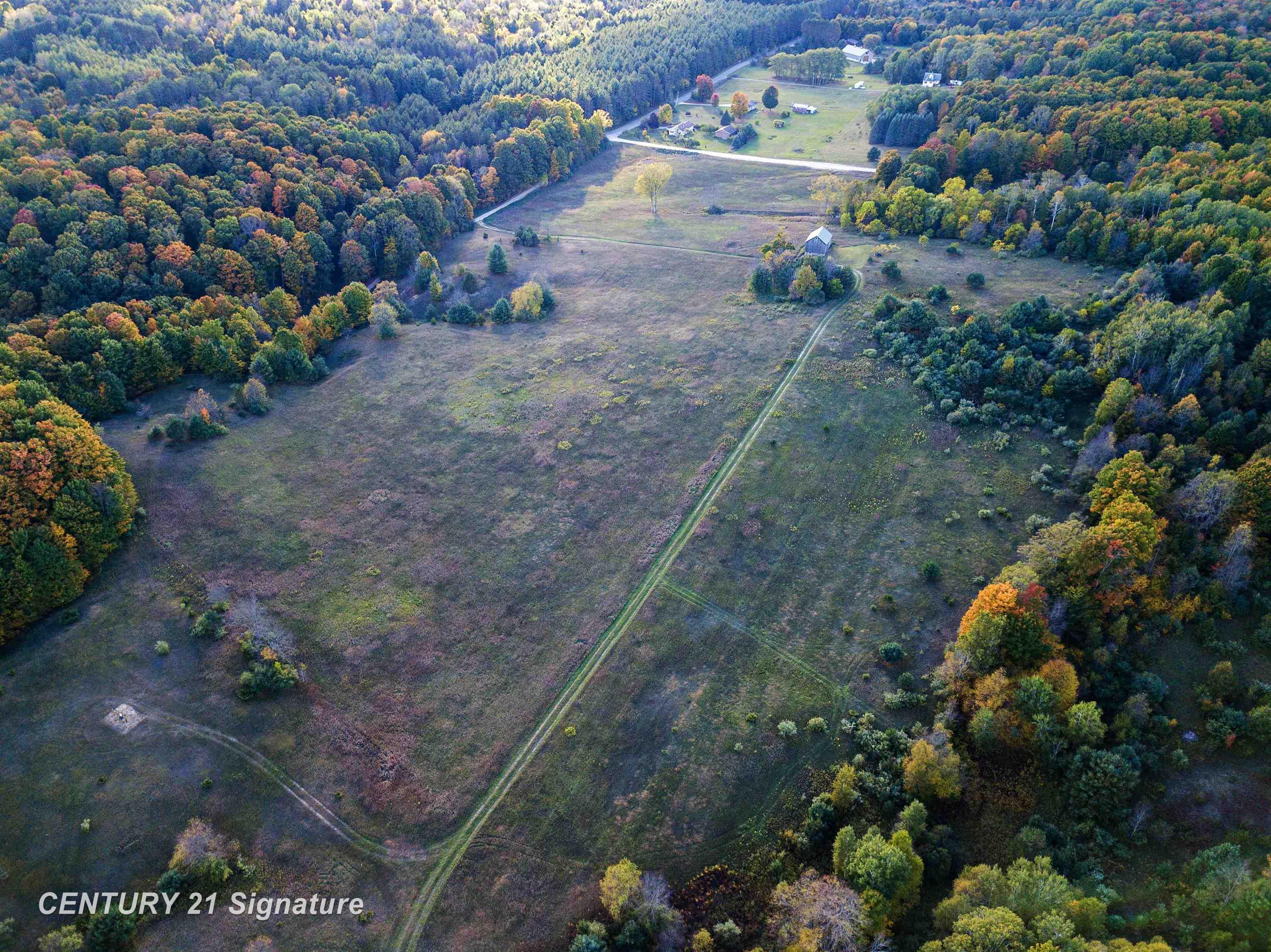 V/l Ritt Road Breckenridge, MI 48615 - Photo 6 of 11