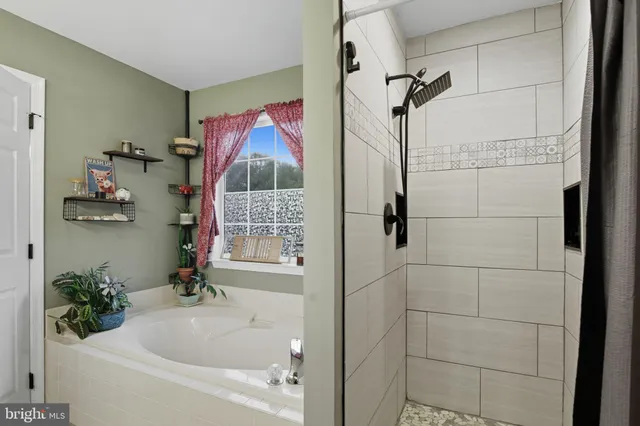 a bathroom with shower and bathtub