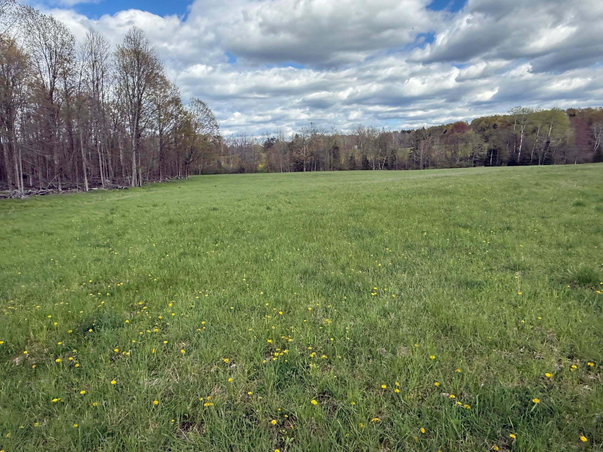 Elm Road Birnamwood, WI 54414 - Photo 18 of 22