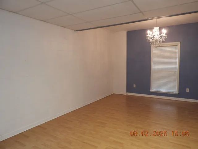 a view of a yard with plants and large trees