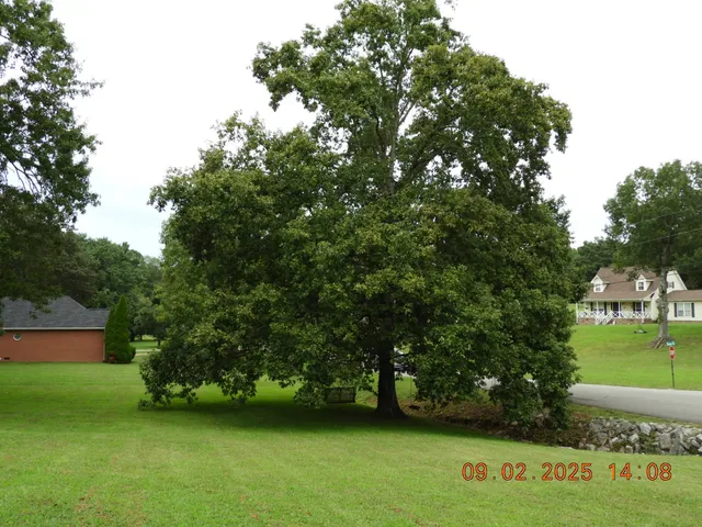 $385,000 | 1325 Matthew Avenue, Leoma, TN 38468