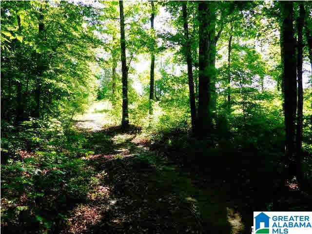 0 Riverview Drive, Unit 116 Cleveland, AL 35049 - Photo 14 of 30