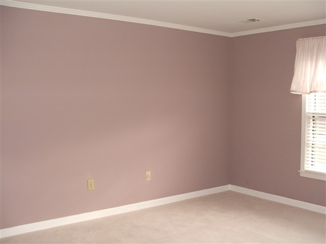 206 Foxcroft Road Greenville, SC 29615 - Photo 17 of 20 Gallery Image 17