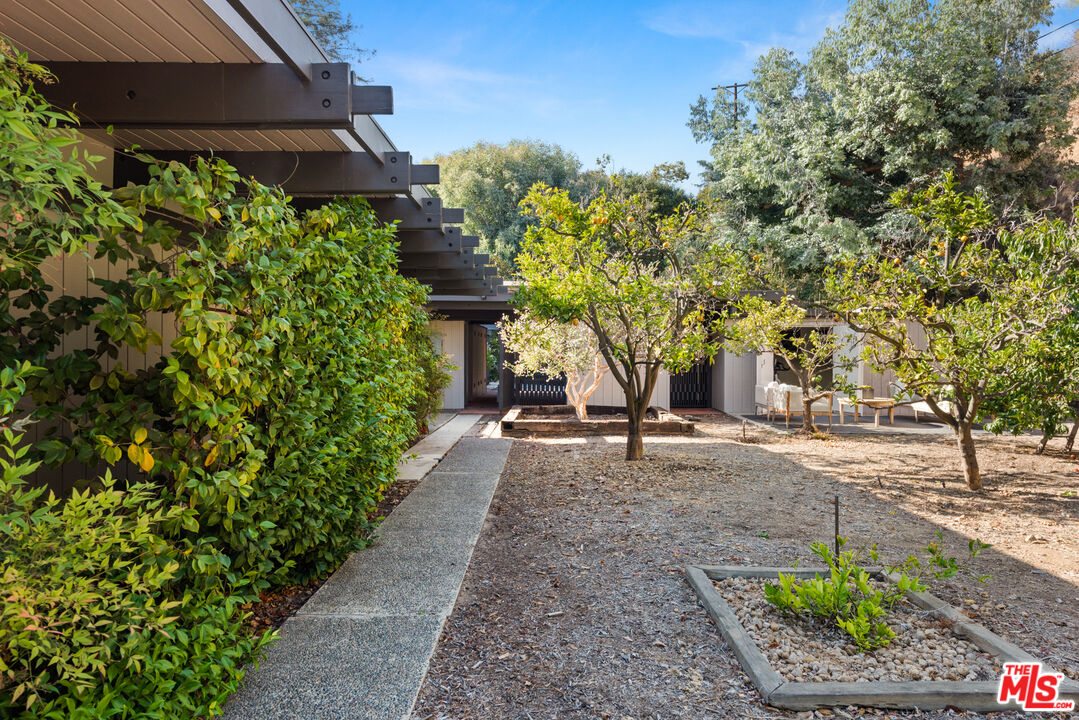 1030 Rivas Canyon Road Pacific Palisades, CA 90272 - Photo 26 of 42 a view of a garden with plants and trees